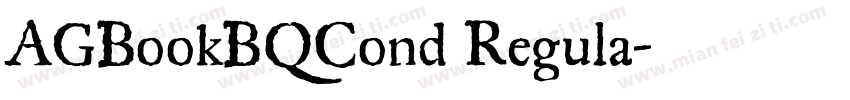 AGBookBQCond Regula字体转换